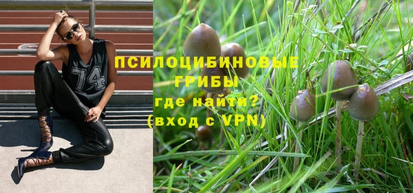 MDMA Новозыбков