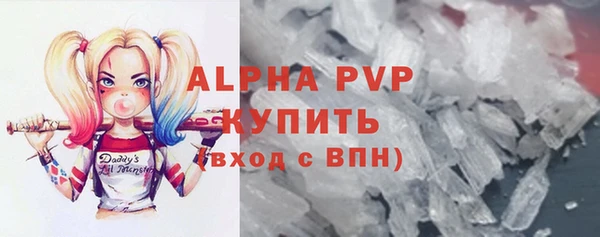 крисы Новодвинск