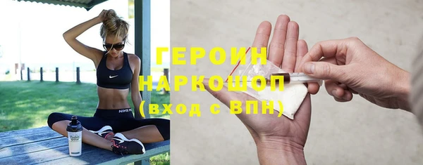 крисы Новодвинск