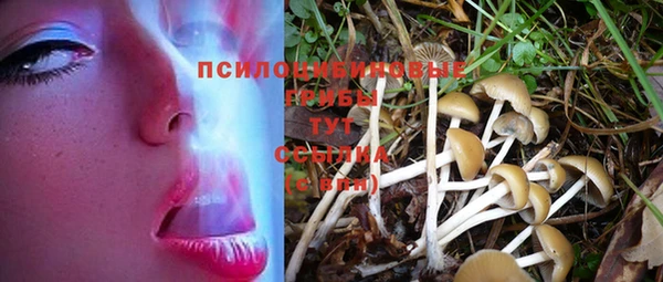 хмурый Новокубанск
