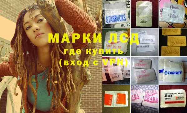 крисы Новодвинск