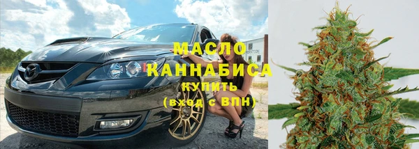 крисы Новодвинск