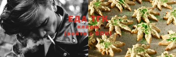 крисы Новодвинск